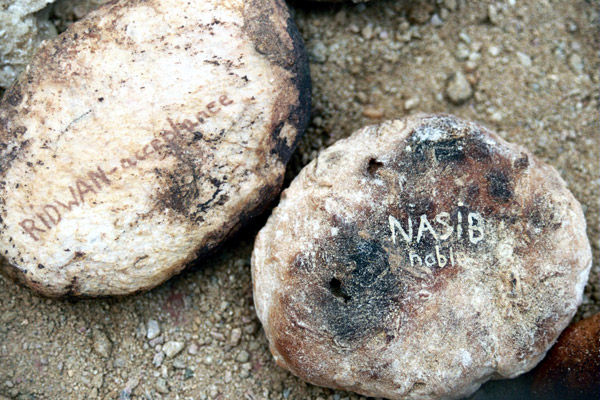 Thumbnail: Bread and Pebble Roadmap