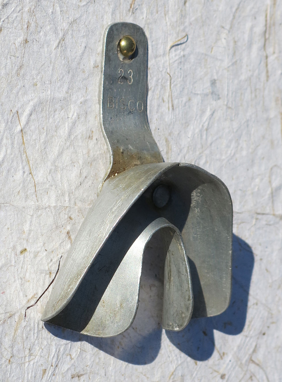 Thumbnail: Speechless