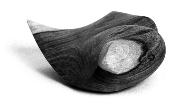 Thumbnail: Early Work in Wood