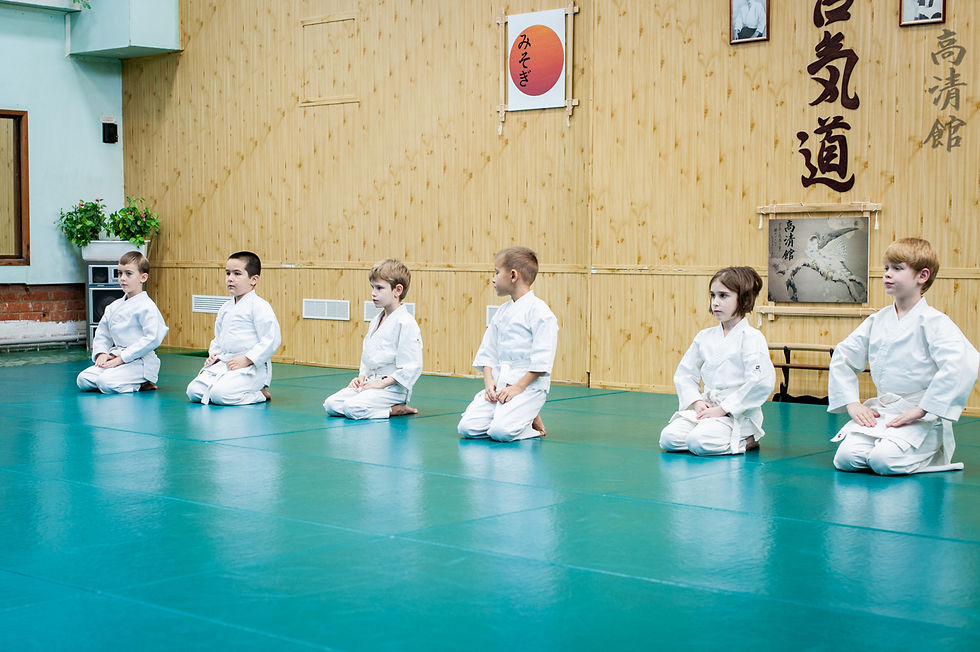 Айкидо для детей и взрослых