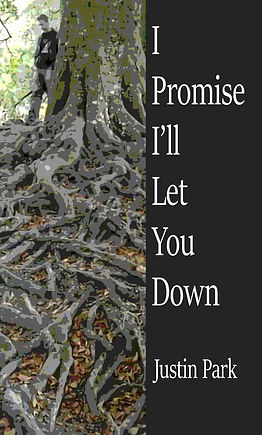 PromiseCoverv3Front.jpg
