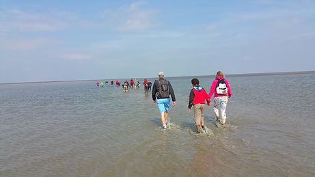 Wadlopen 1
