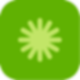 MMTL_FV_fleur_boite_vert_RGB.png