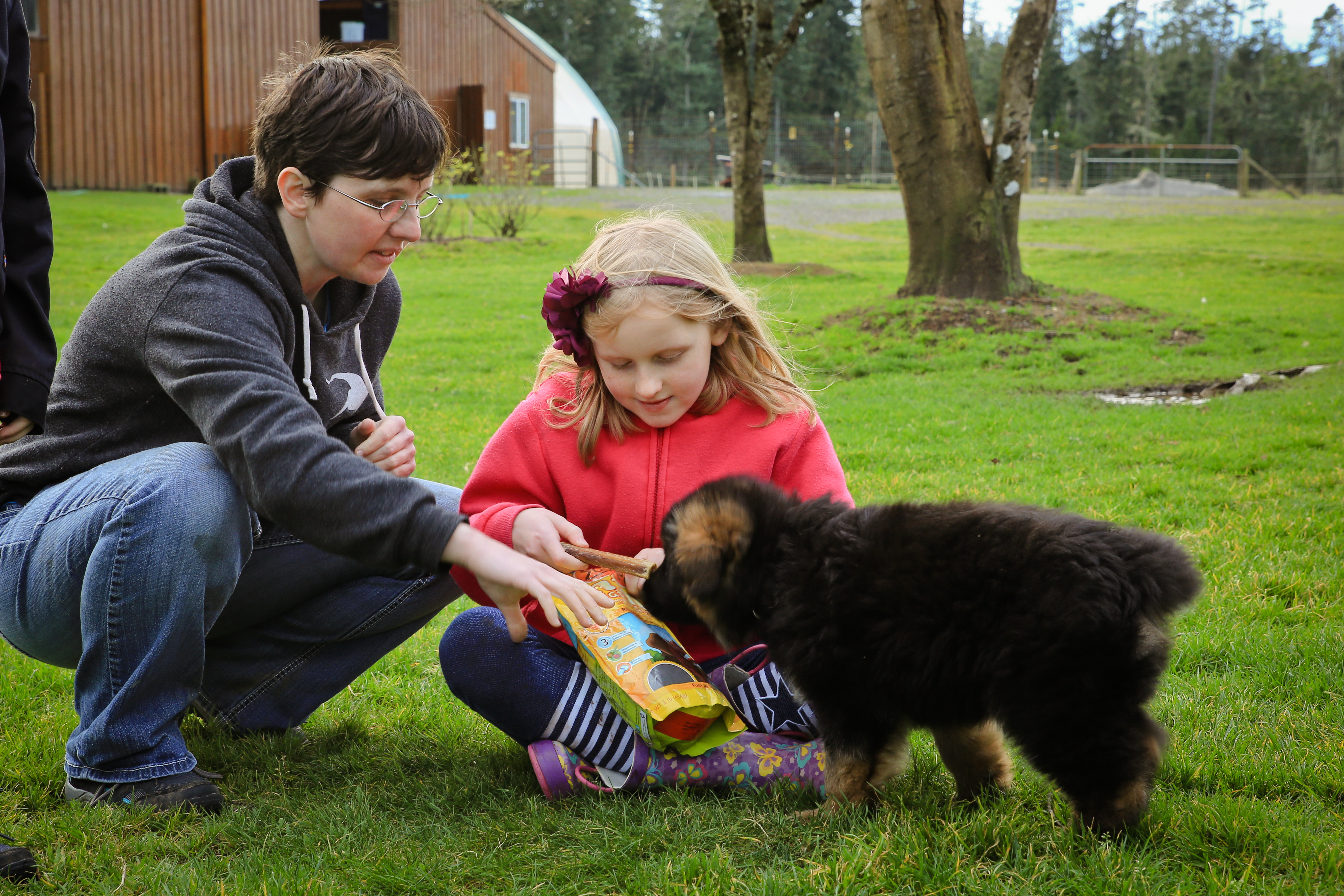 Training with Puppies