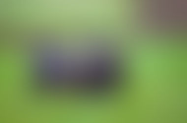 Preparing for Your Puppy — Part 3: Planning for a Lifetime