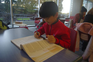 Studying in the Summer