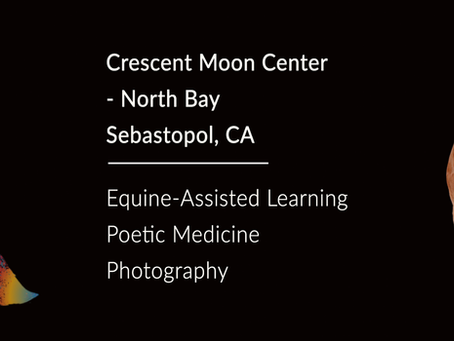 Crescent Moon Center is coming to the North Bay! - Tabula Rasa Ranch