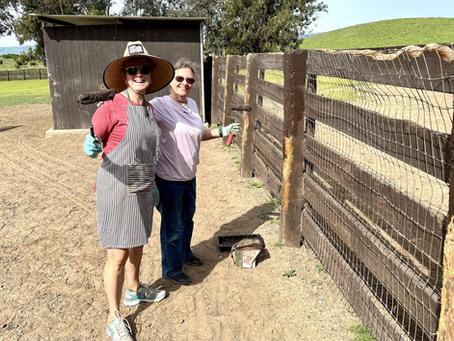Volunteer Days at Rush Ranch with Access Adventure & Solano Land Trust