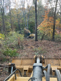 Clearing dense brush to make way for a new building.