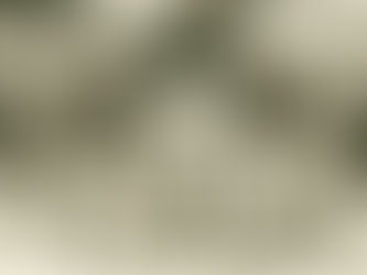 Abraham Wald and the Missing Bullet Holes