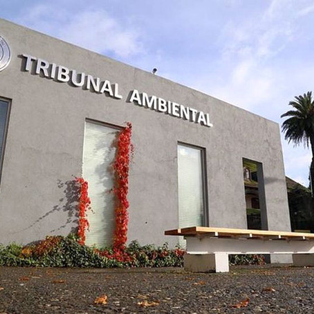 Justicia ambiental, una herramienta para la supervivencia humana.