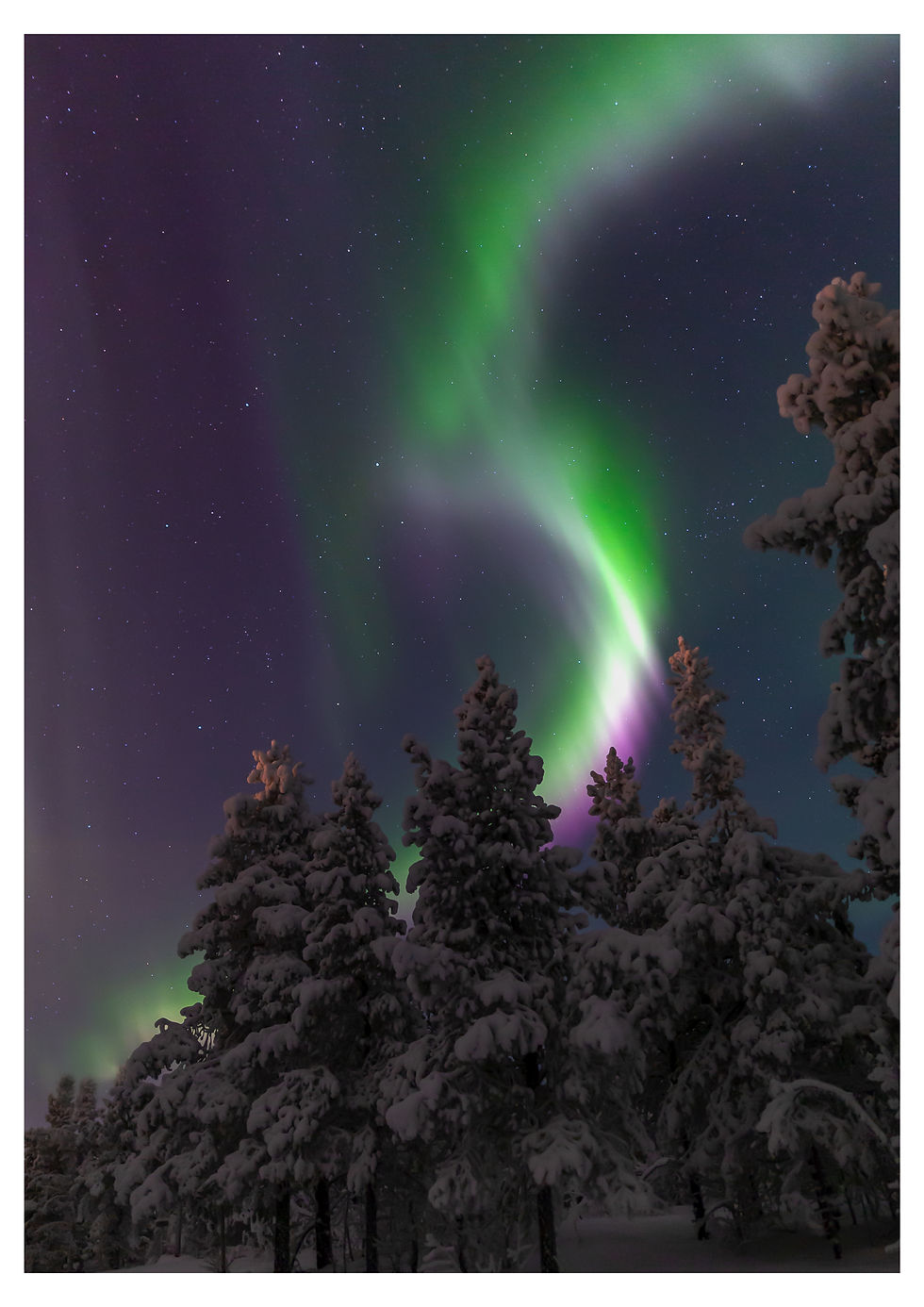 Green pink white aurora