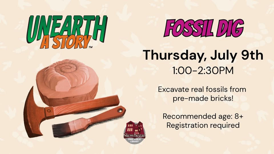 Fossil Dig
