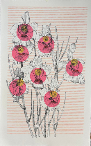 Singapore Orchid | clare-halifax-art
