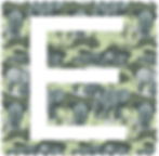 E is for Elephant