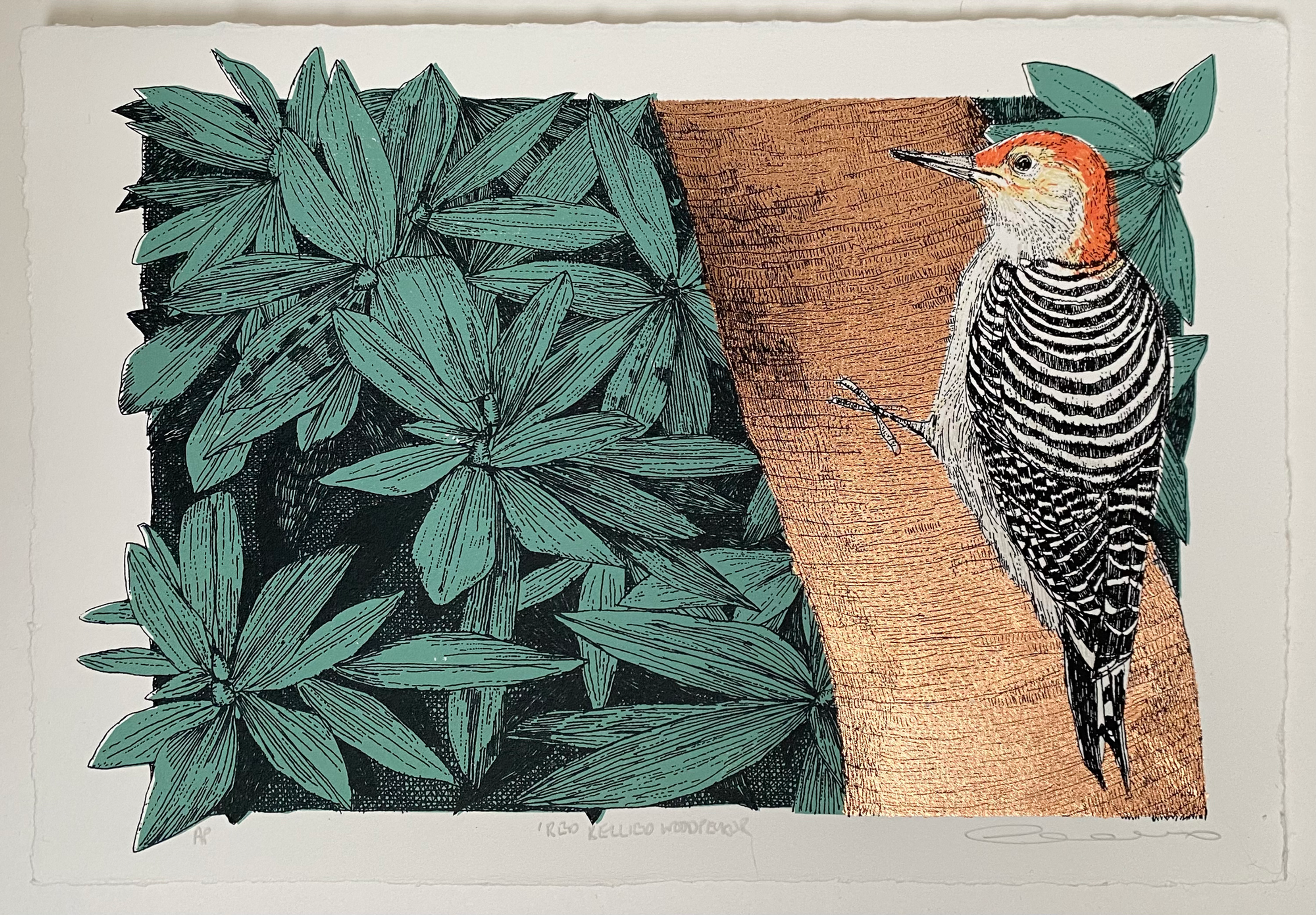 Red Bellied Woodpecker