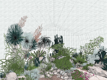 Cambridge Contemporary Mixed Winter Show