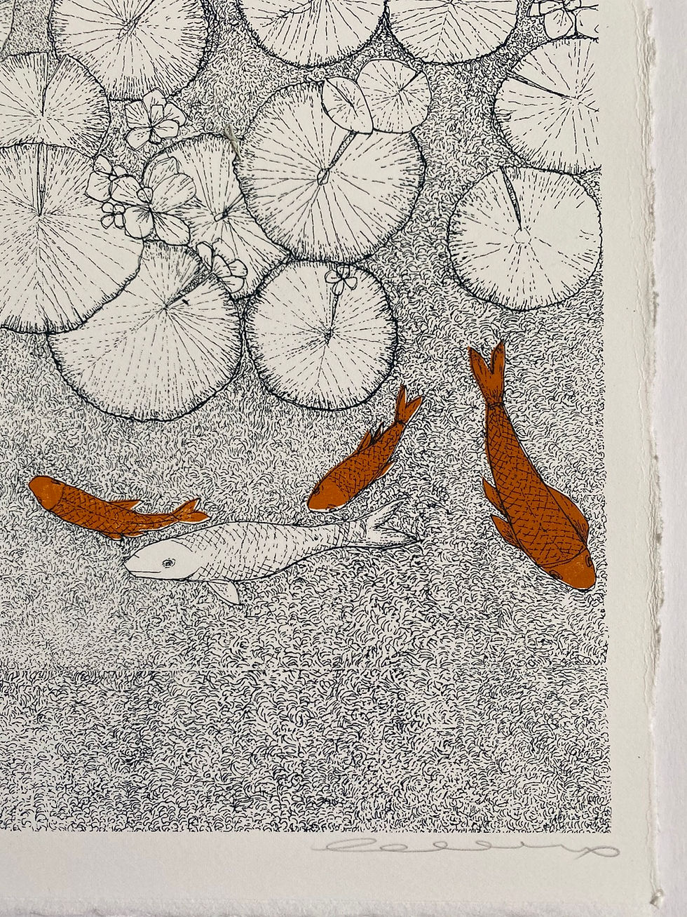 Thumbnail: Orange fishy, Water Lily 