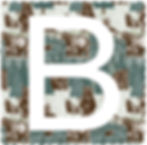 B is for Bear