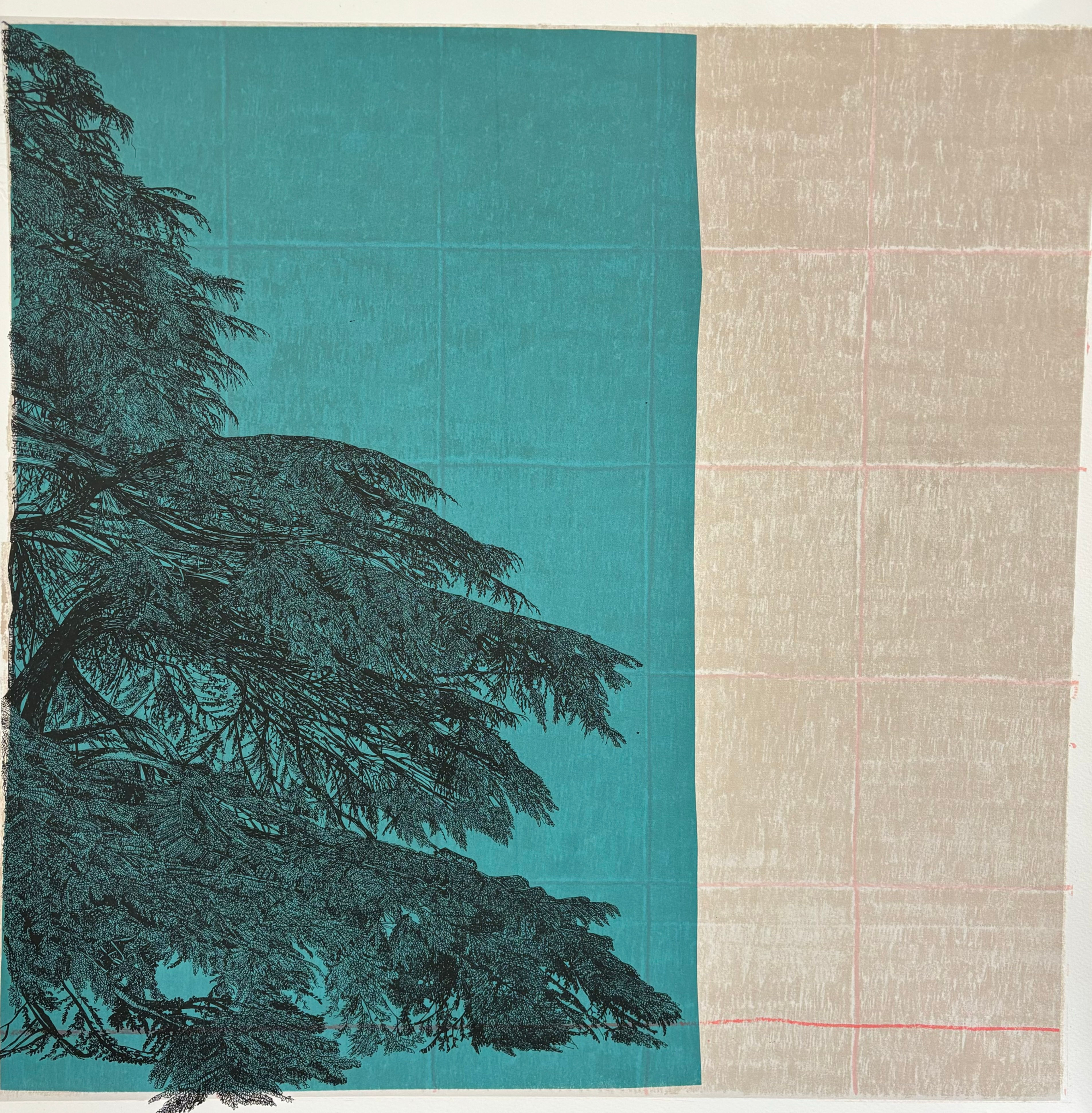 The Side of the Tree