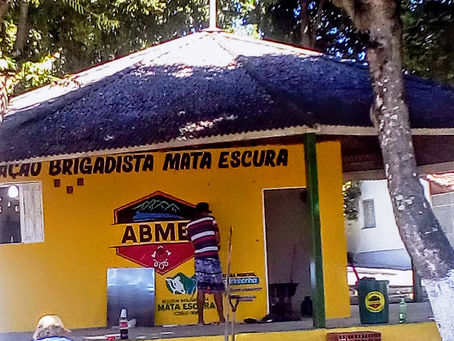 Sem título