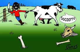 Segurança no campo