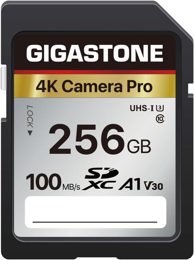 Best SD Cards for Canon EOS EOS 90D
