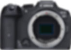 Canon EOS R7 Hybrid Camera