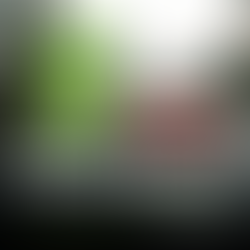 Top BMW Models for Tuning