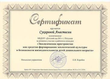 Экологическое пространство от РМК участие Сухарева ноябрь 2020.jpeg