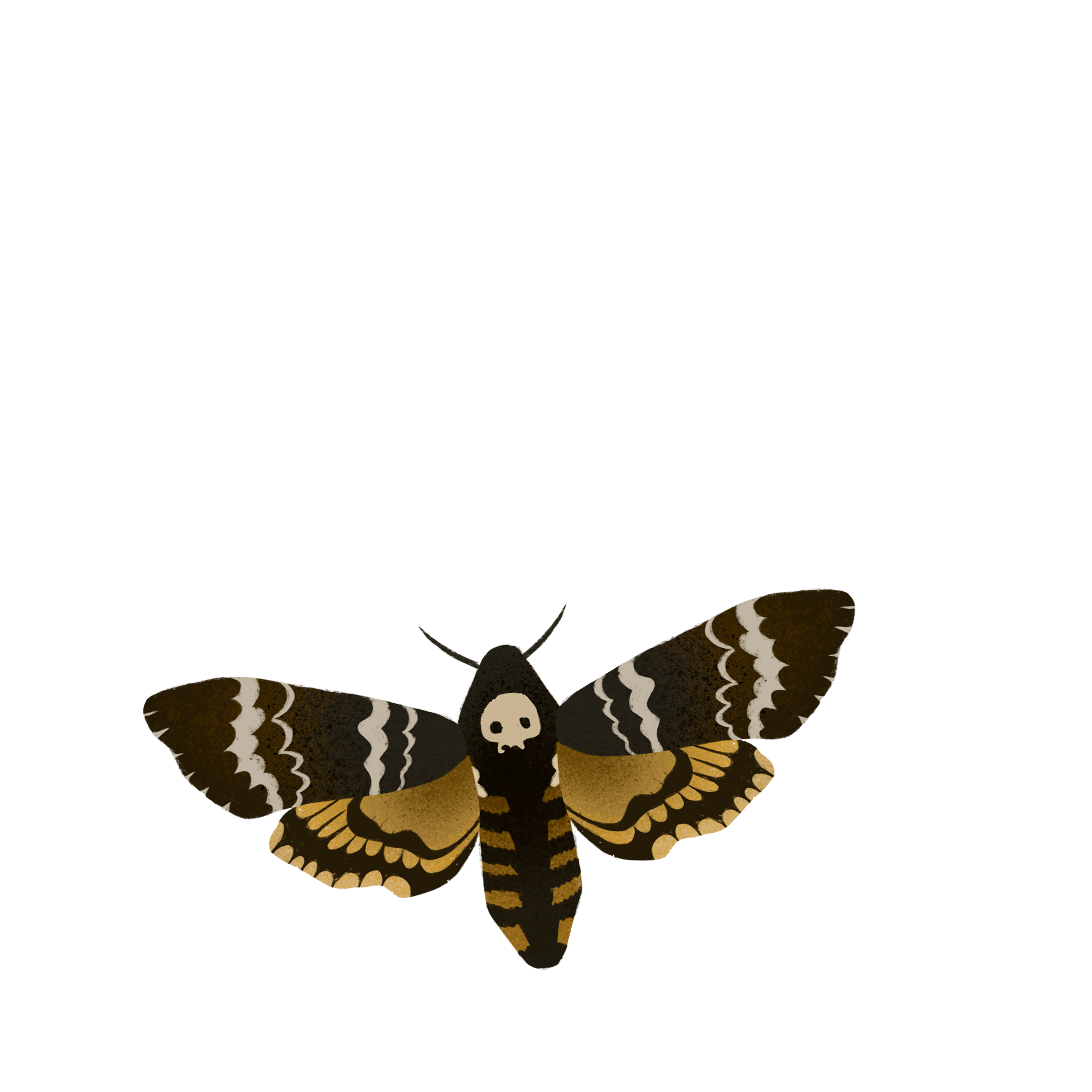 source.gif