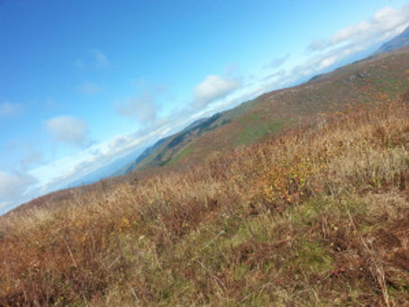 Hiking in Nature = Improved Mental Health?