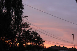 Sky