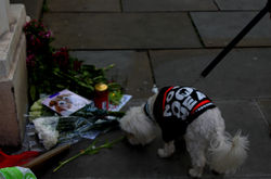 YULIN protest in London 2016