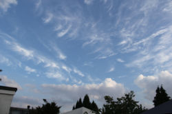 Sky