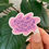 Thumbnail: The Pink Pisces Sticker