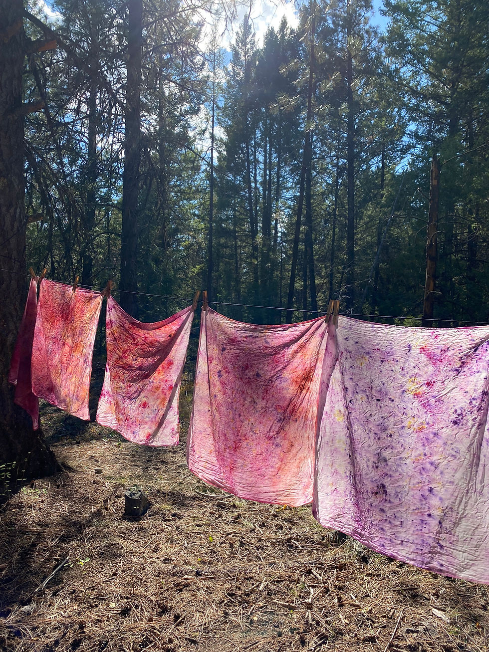 PLANT DYE WORKSHOP