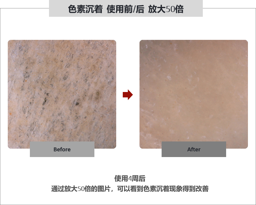 Thumbnail: FILLOSHINE GFP PG 10.5 for professional use