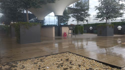 IMG-20210813-WA0018