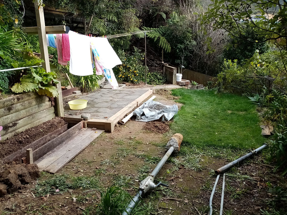 Backyard