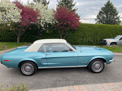 mustang 1968 302 ci