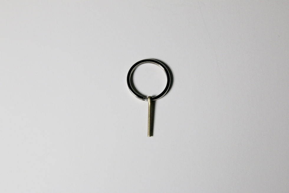 NPDD Replacement Pin and Ring