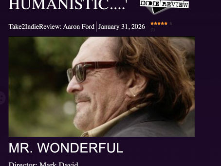 Mr. Wonderful - Take2IndieReview: Aaron Ford