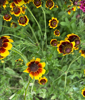 Screenshot 2026-06-04 223904.png