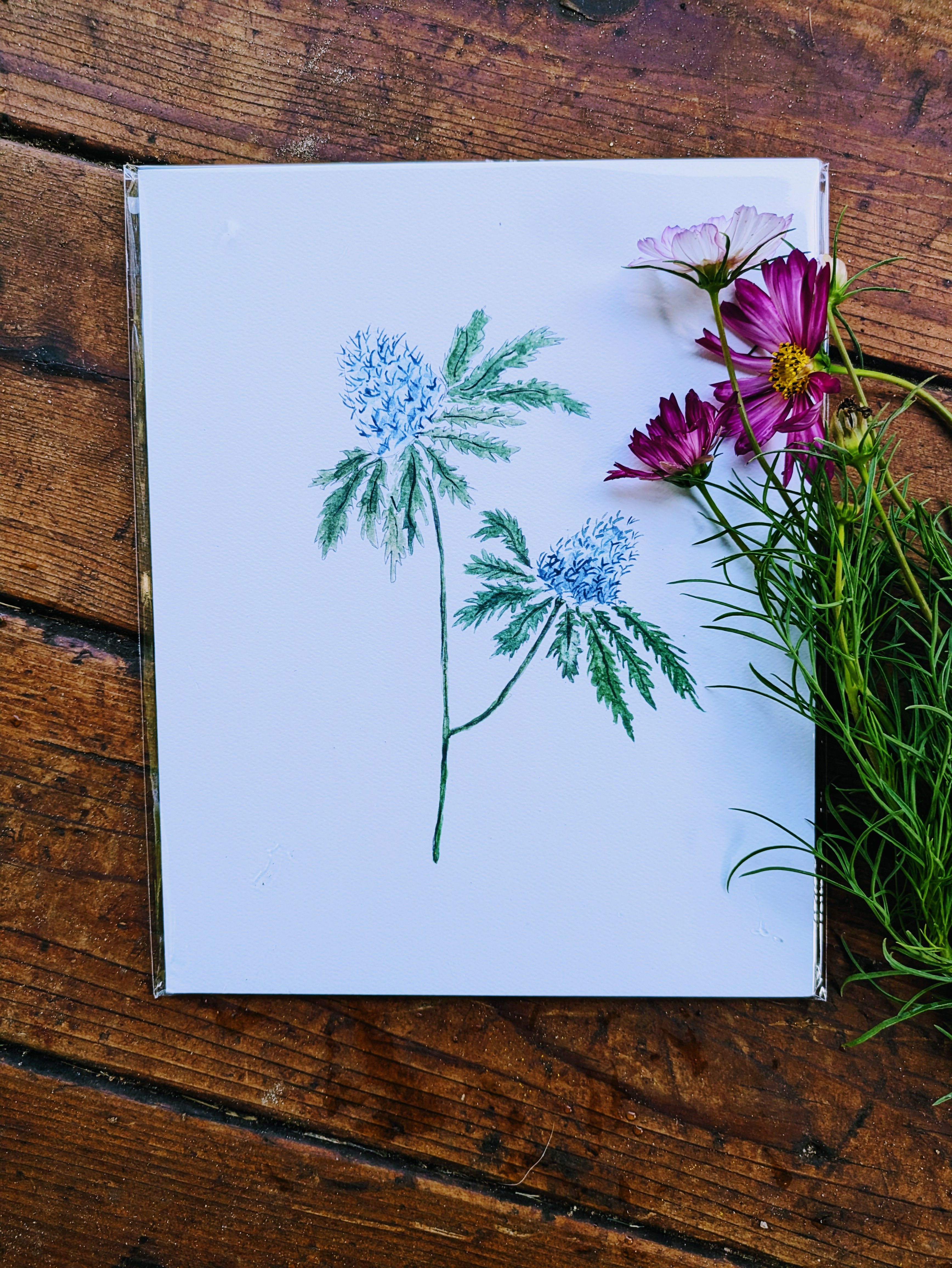 "Thistle in Blue: A Hand-Painted Watercolor by the Farmer"