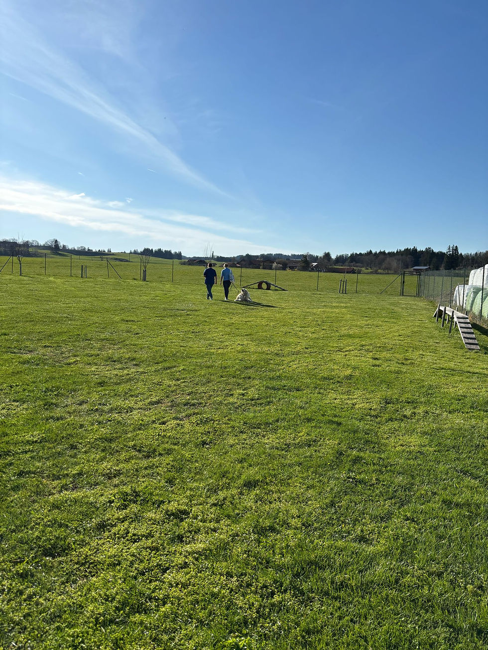 IMG-20250416-WA0013