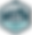 LPM_Badge_Icon_-_Portfolio_edited.png
