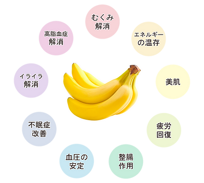 【大和国HP】バナナの効果.png