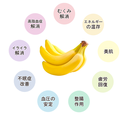 【大和国HP】バナナの効果.png