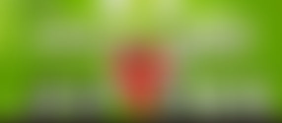 A importância do localismo na comunicação do Agro